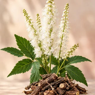 Black cohosh