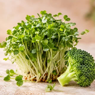 Broccoli extract